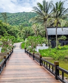 IHG Milestone Rewards: Earn confirmable suite upgrades, points and more
