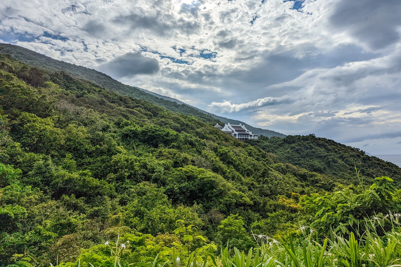 Wildlife drive at InterContinental Danang