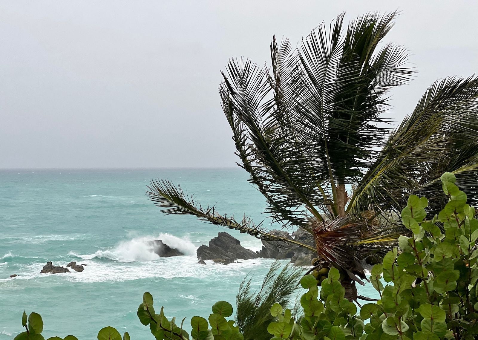bermuda fiona