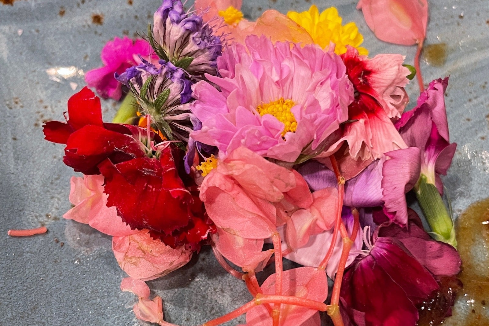 Flowers