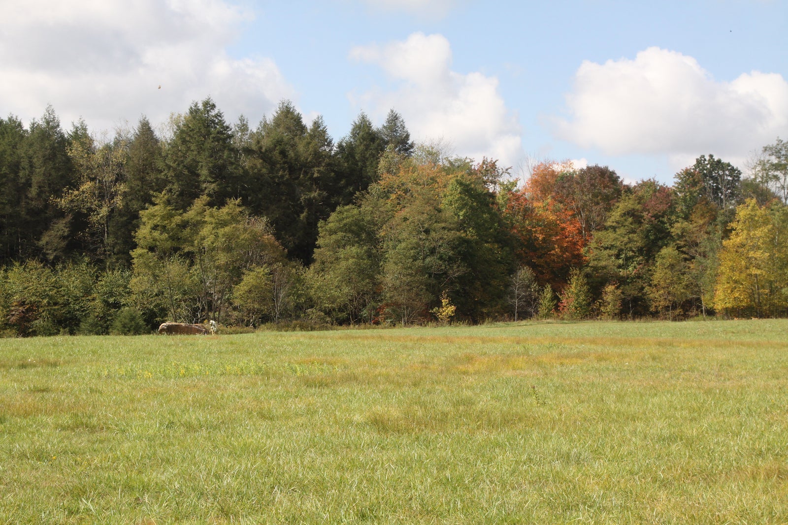 flight 93 memorial crash site