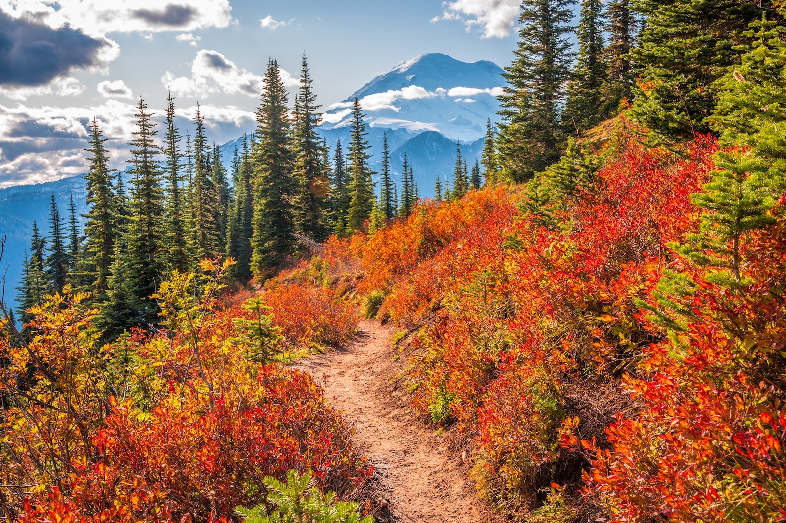 Here is the place you’ll be able to see fall foliage throughout the US in 2025