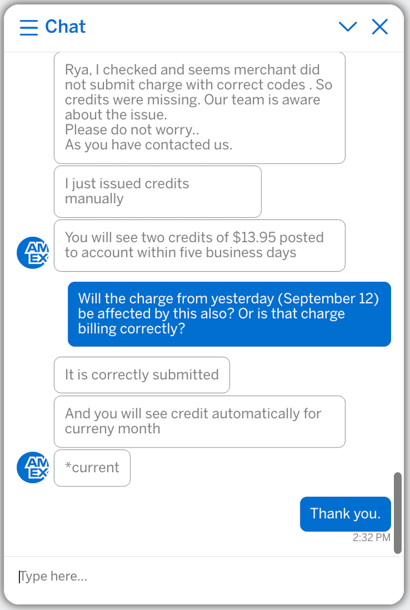 Chat session screenshot