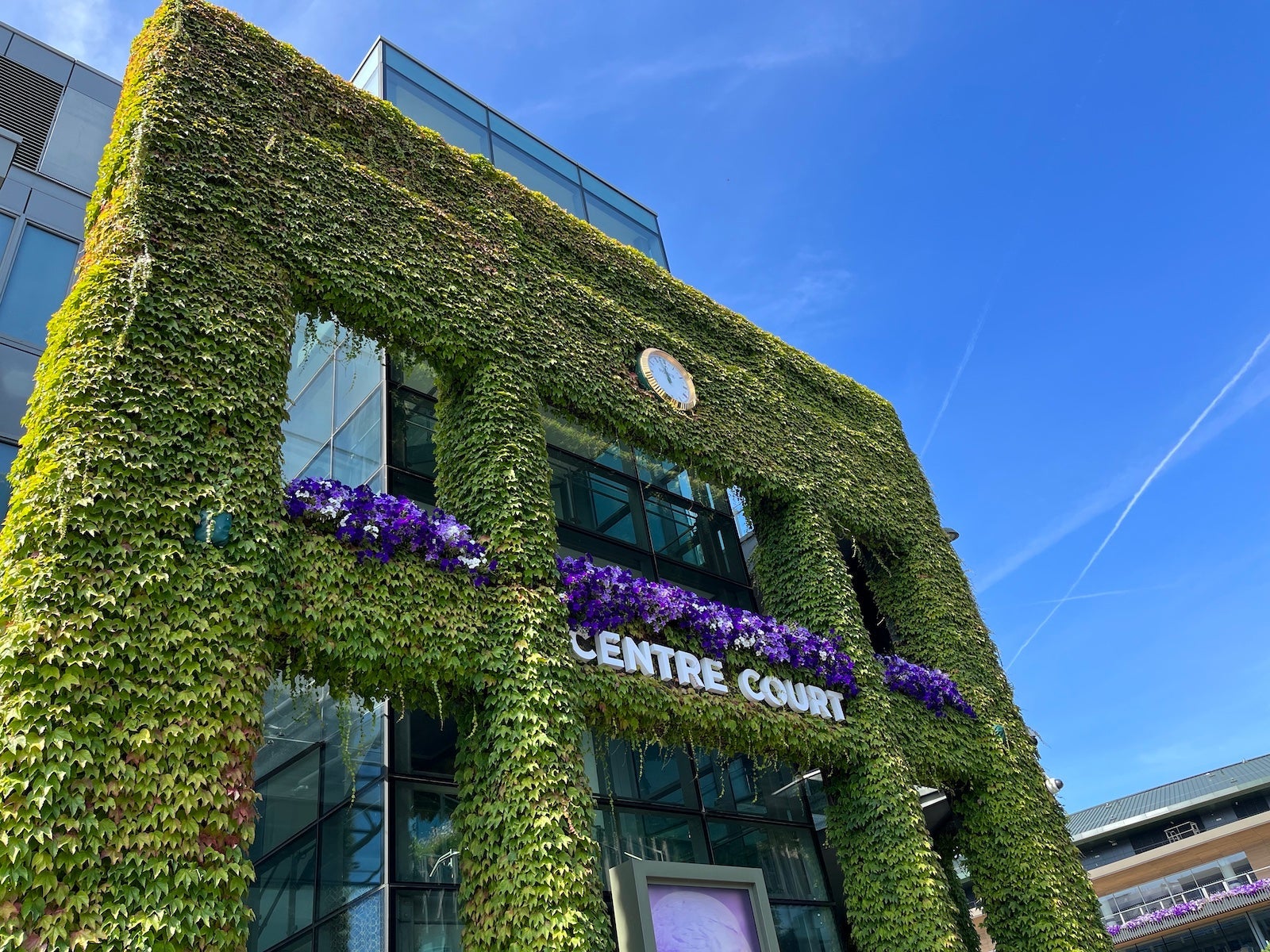 wimbledon