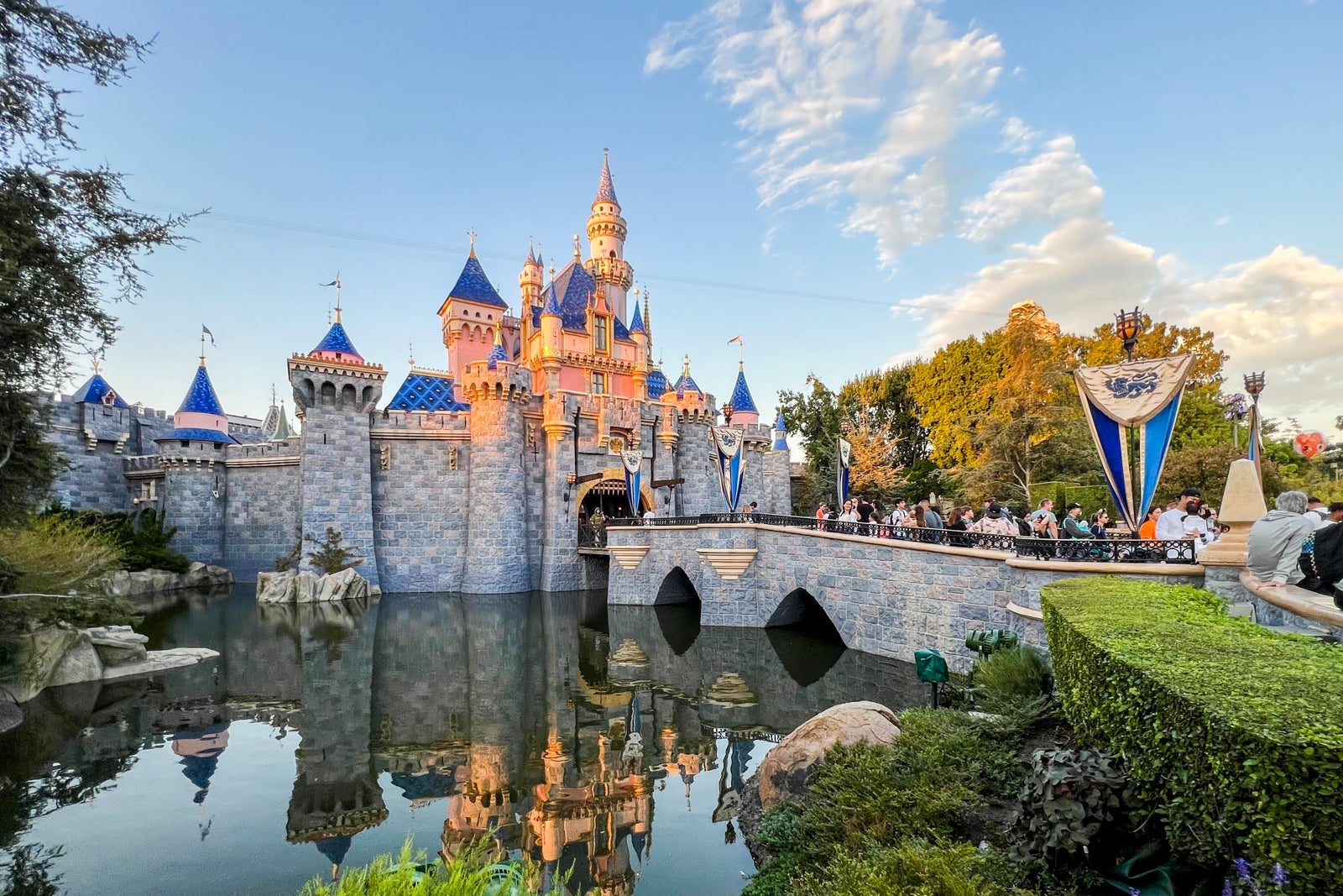 Disneyland Castle