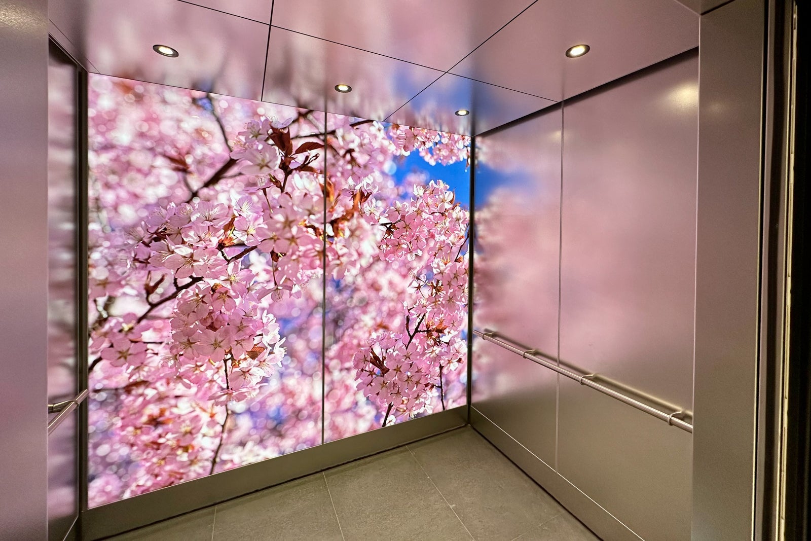 Admirals Club DCA art