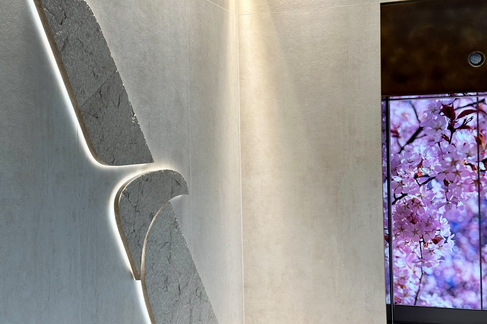 Admirals Club DCA art