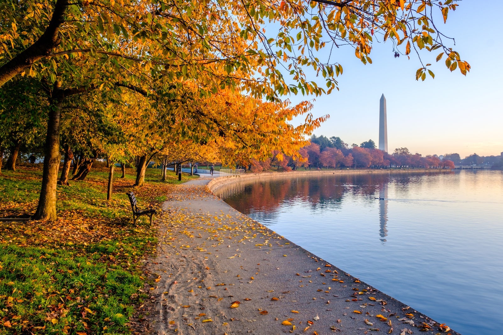 dc in fall
