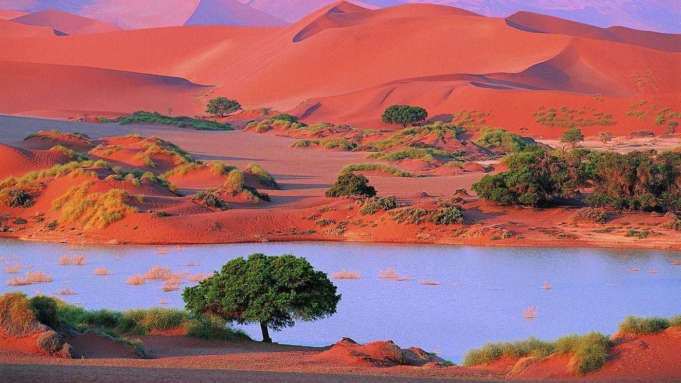 Namib Desert