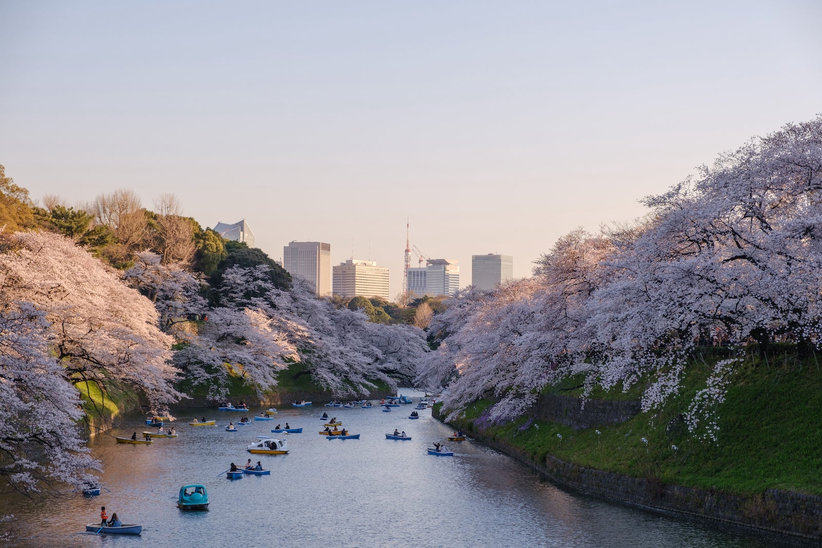 tokyo