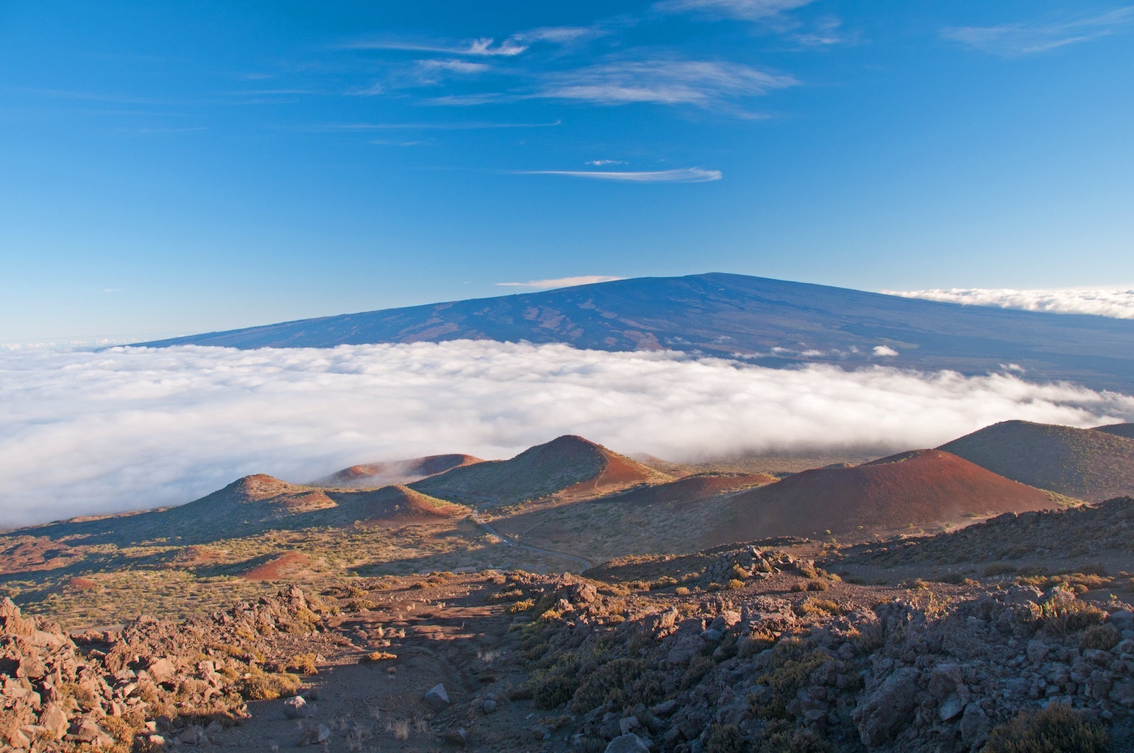 mauna loa