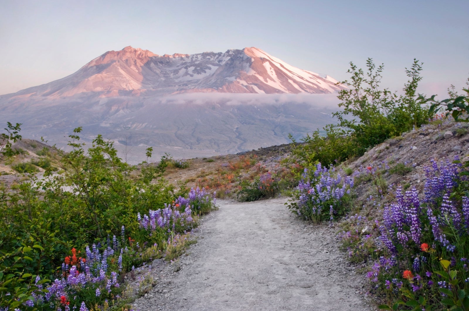 mount st. helens
