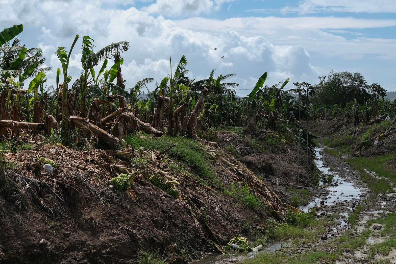 puerto rico storm damage
