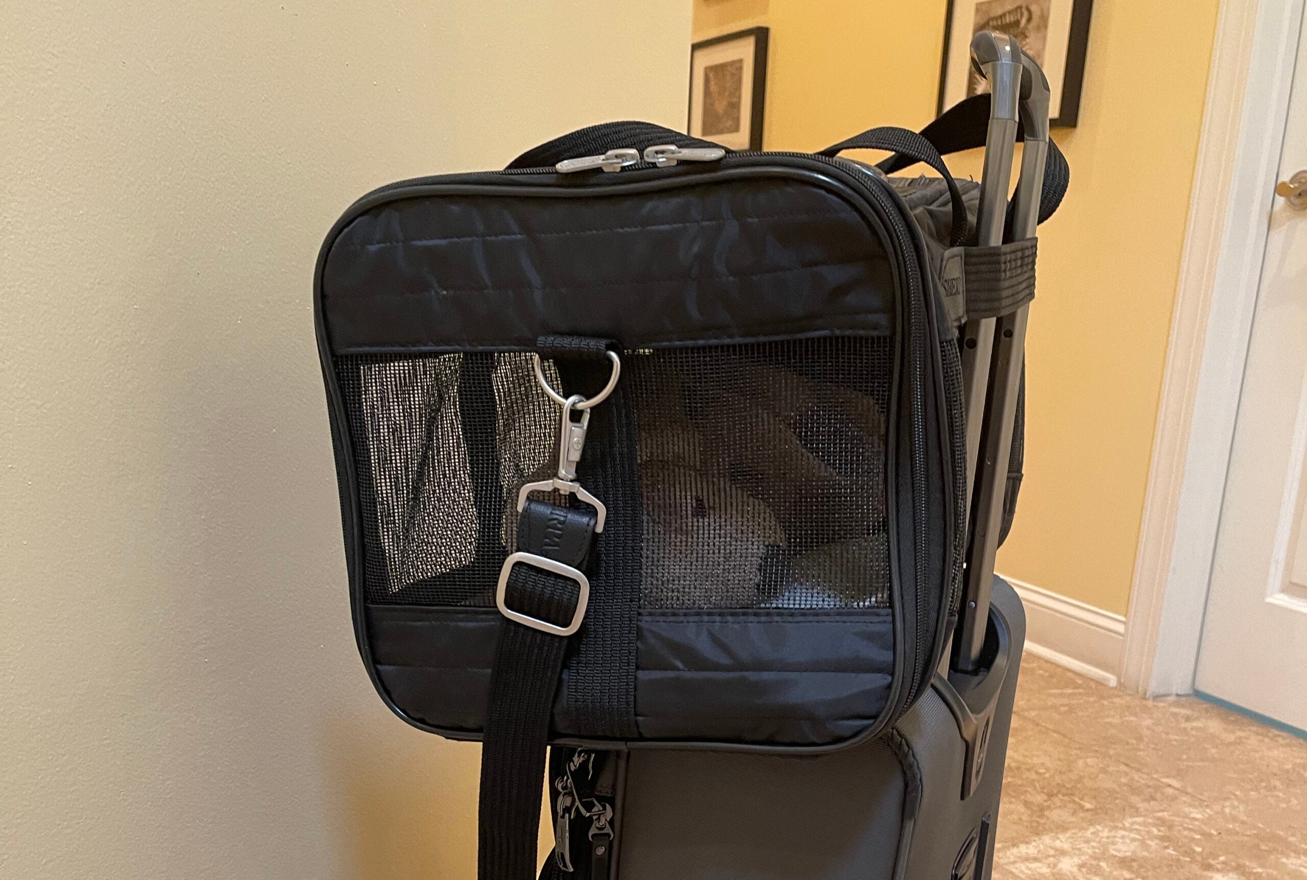 Large size Sherpa carrier on a 21-inch carry-on bag.
