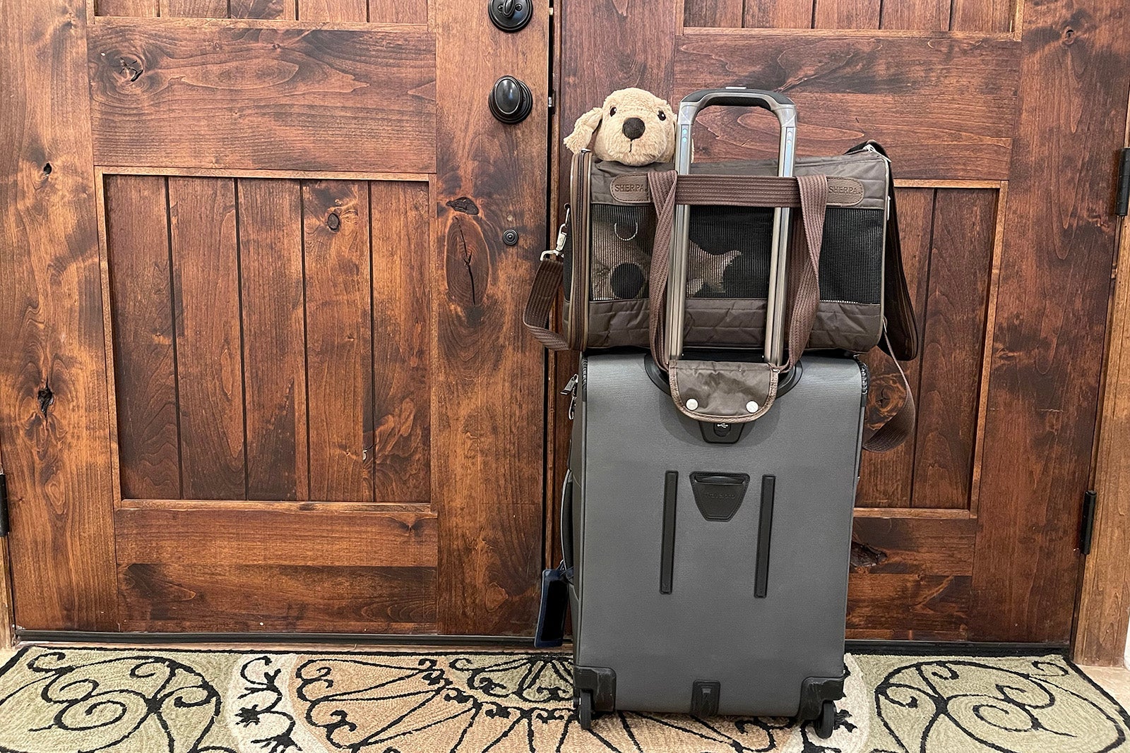 Pet carrier tethered to carry-on bag