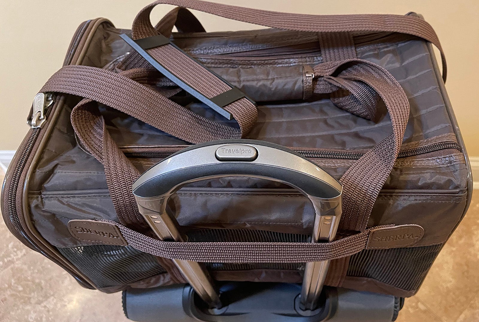 Close up of luggage strap on the Sherpa Original Deluxe pet carrier