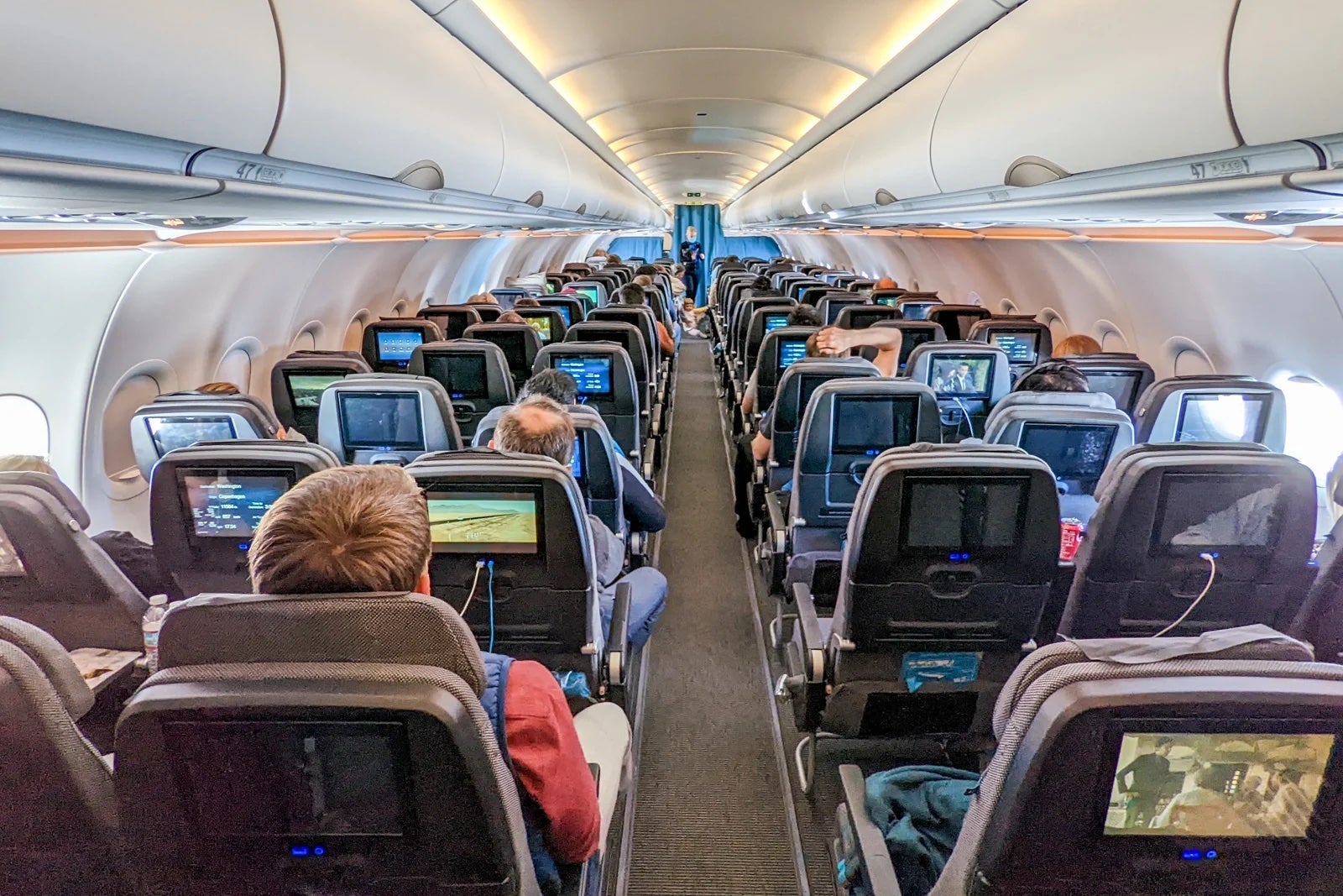 people sitting in economy