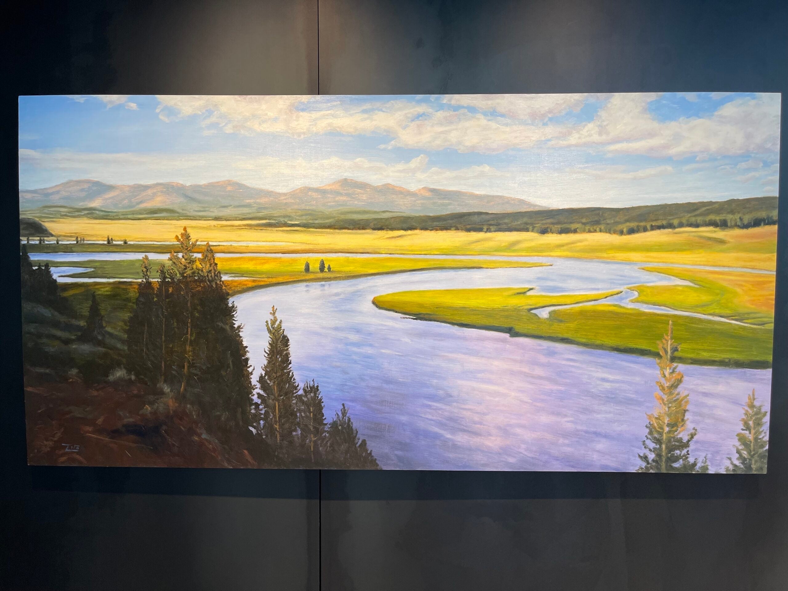 United Club Fly painting