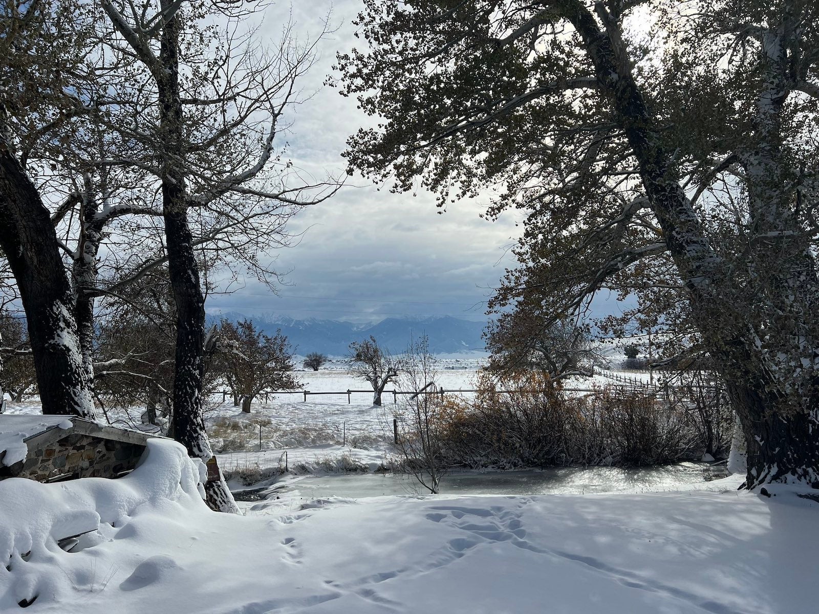 montana snowfall