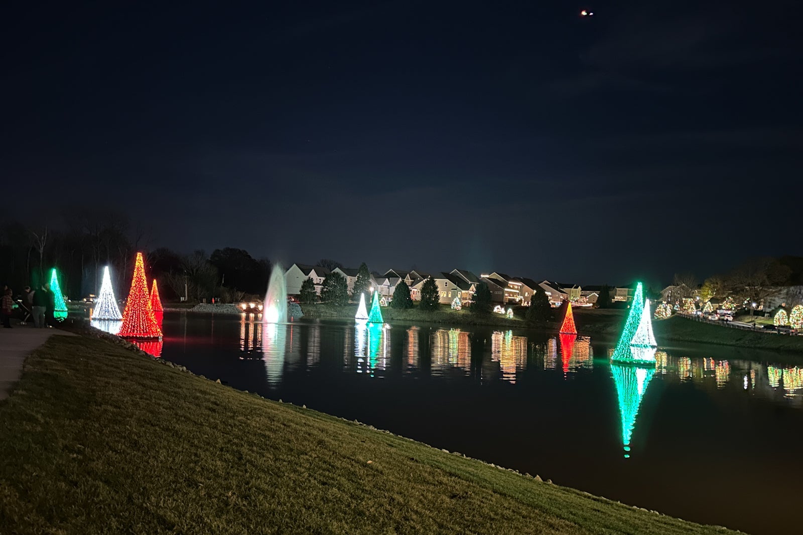 Christmas lights and floating trees on a pond