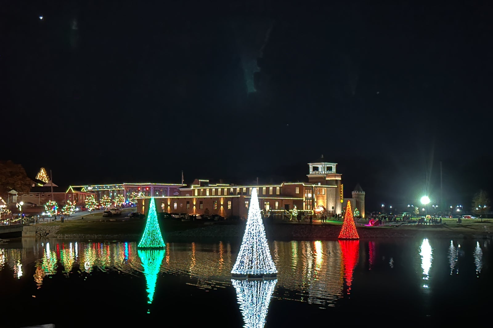 Christmas lights and floating trees on a pond