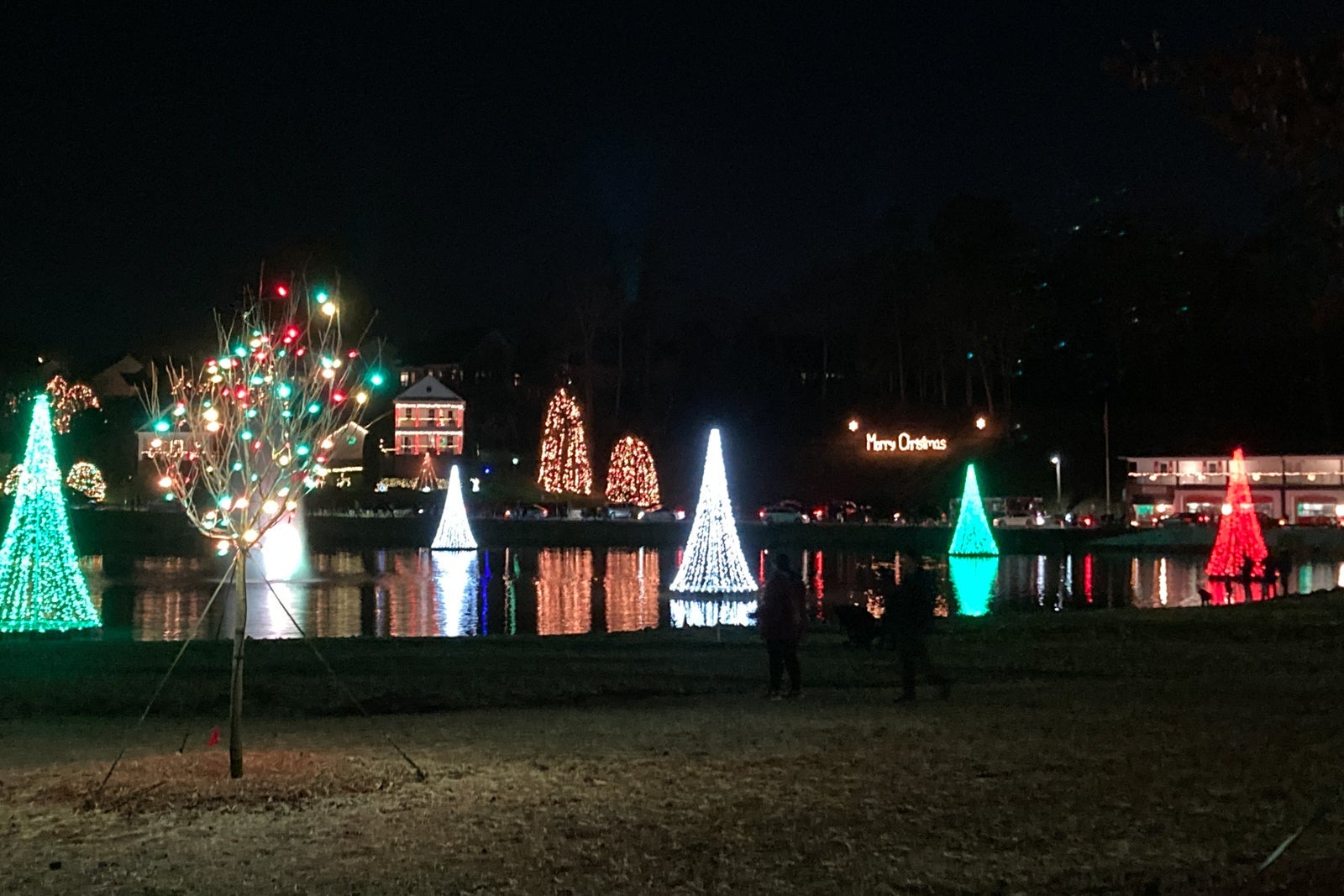 Christmas lights and floating trees on a pond