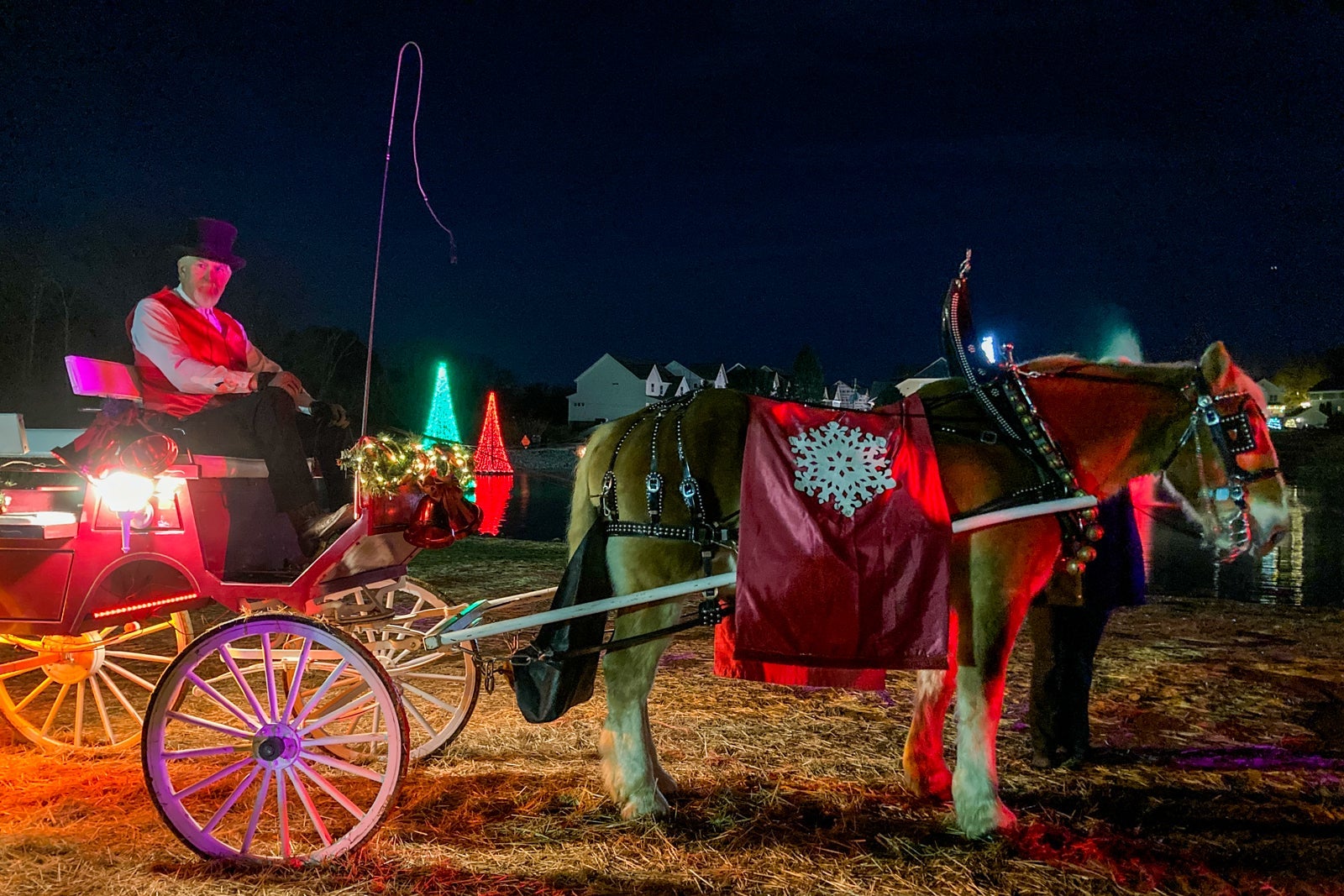 a driver and horse-drawn carriage