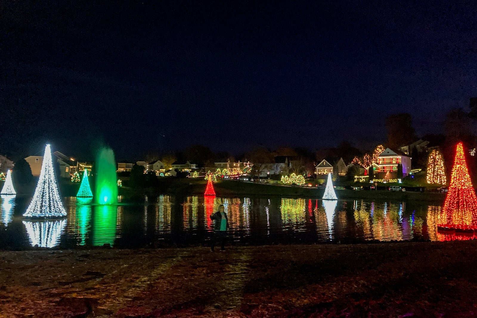 Christmas lights and floating trees on a pond
