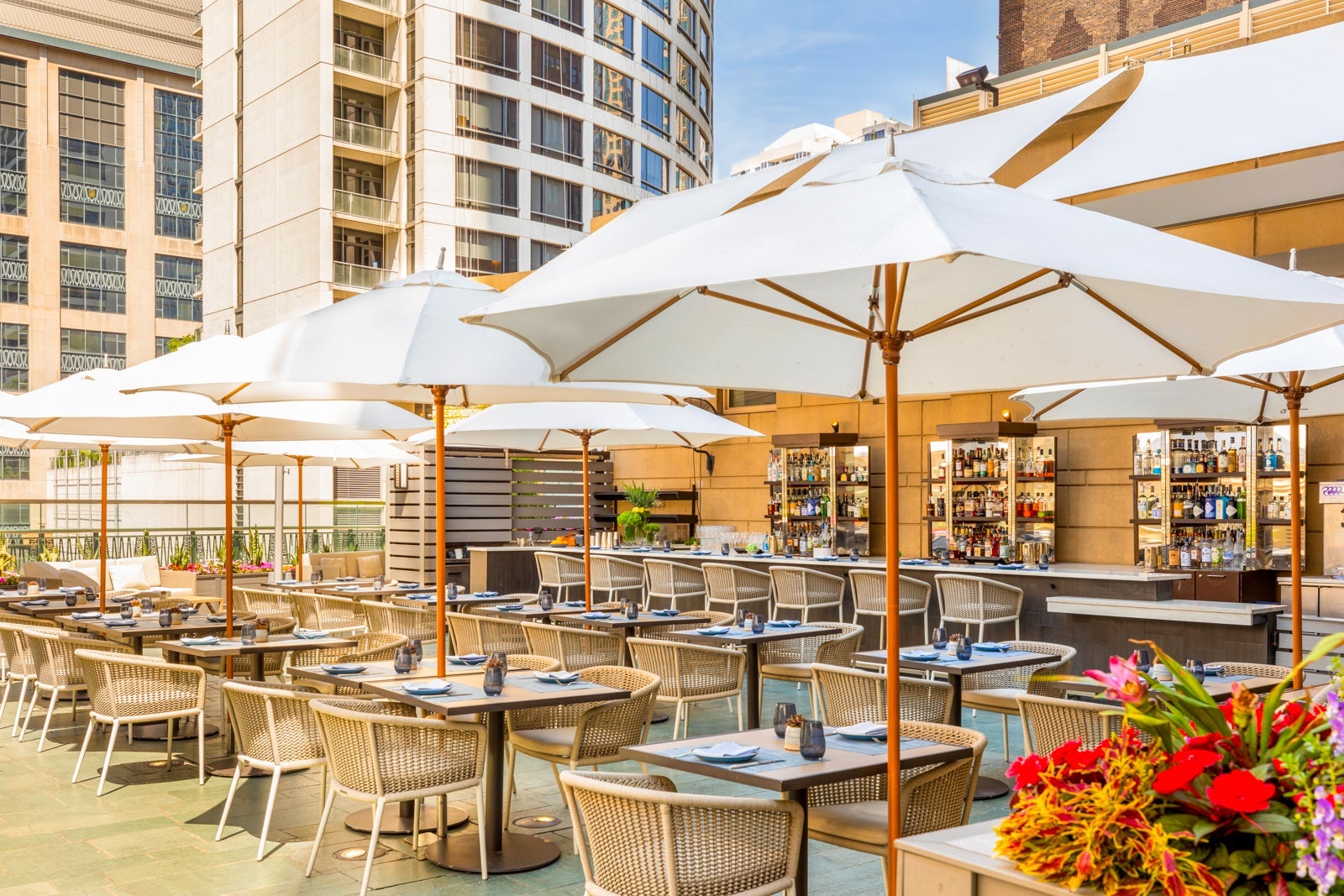 UNLOCK ELITE PERKS: Chase's Secret Spending Hack REVEALED!