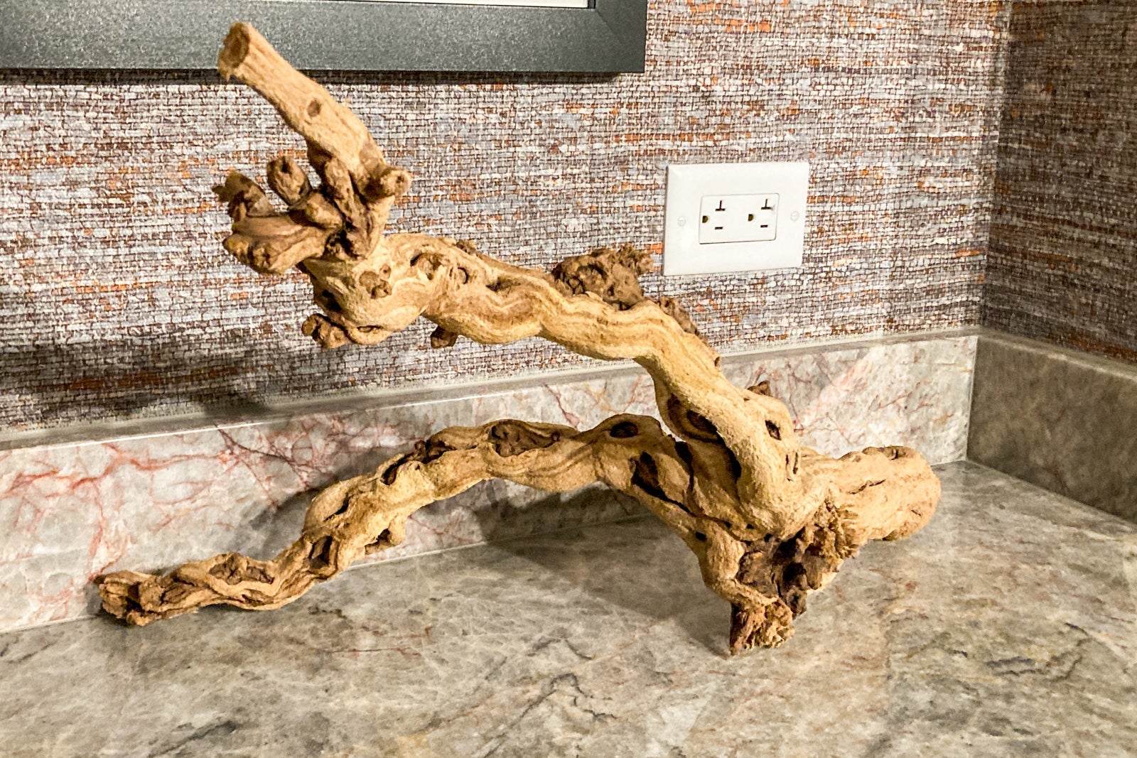 a piece of driftwood