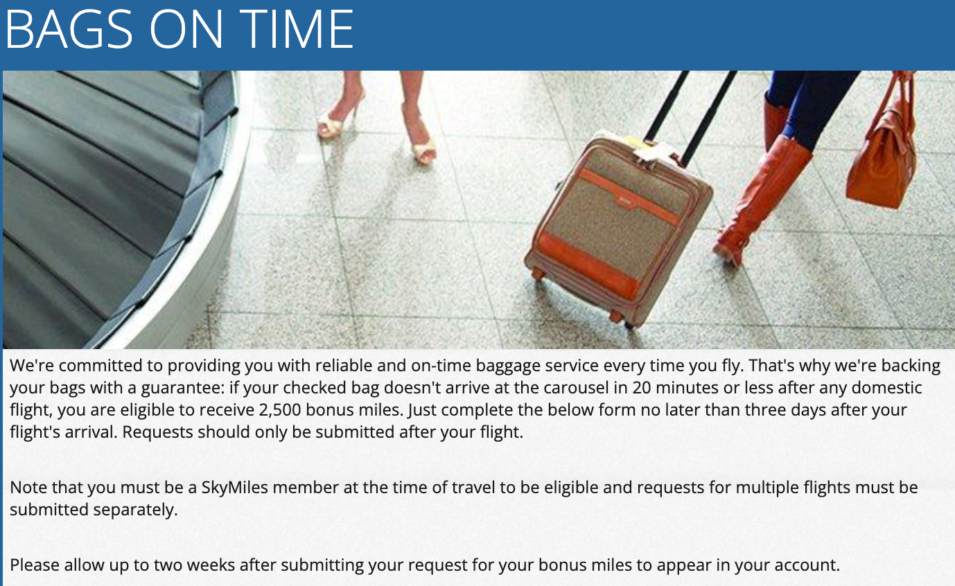 Delta Air Lines baggage guarantee