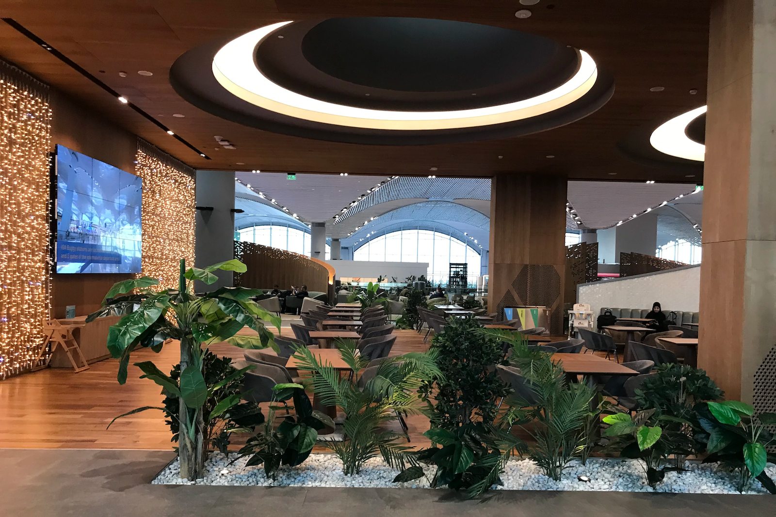 Potted plants are in the foreground, with an airport lounge dining area beyond