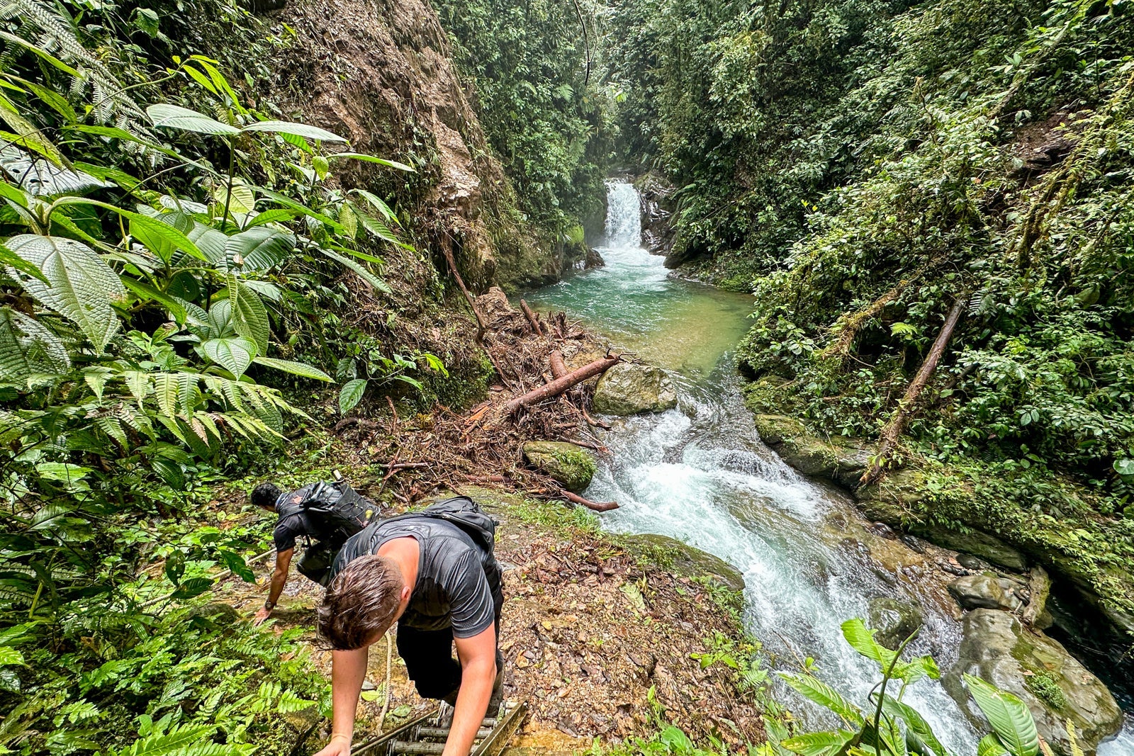 Galapagos Cloud Forest Resort