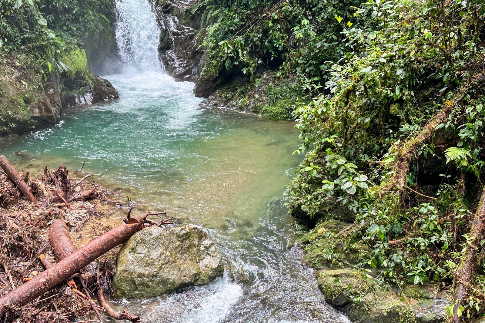 Galapagos Cloud Forest Resort