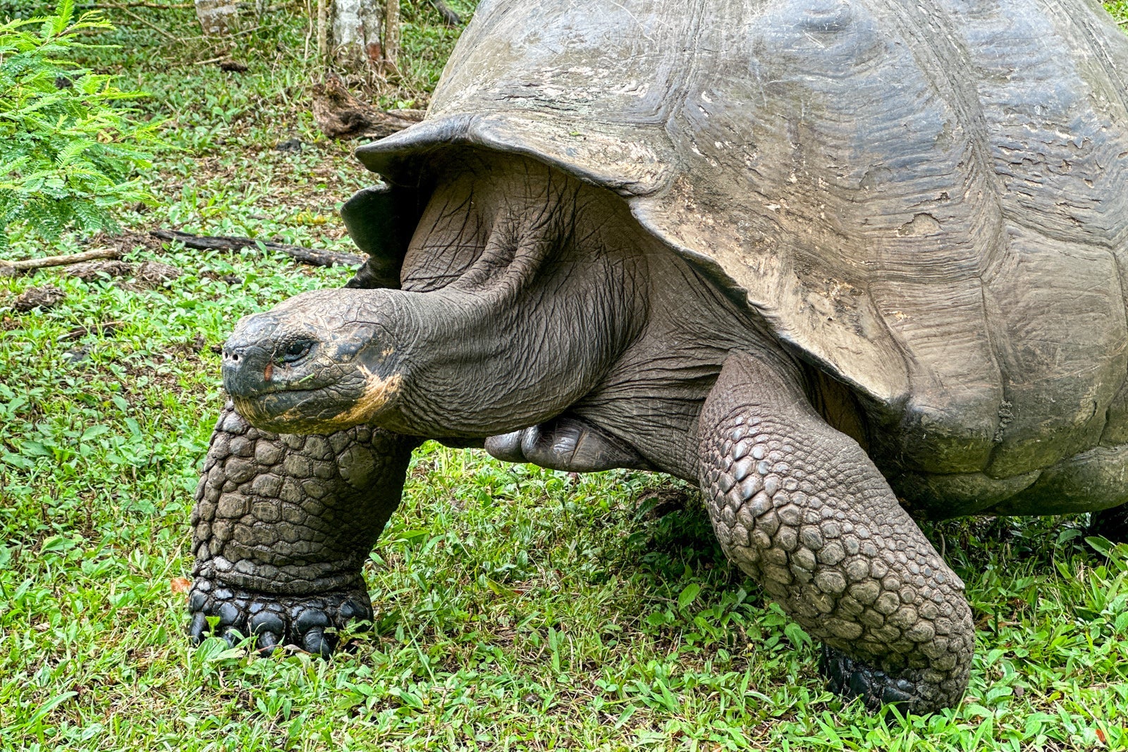 Galapagos Cloud Forest Resort