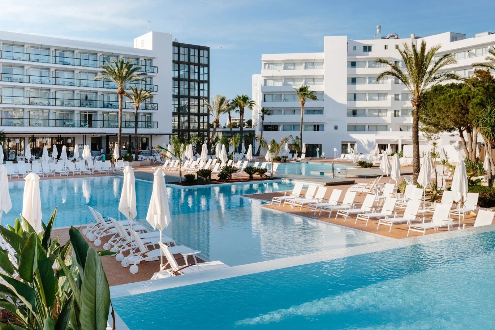 Pool shot of Alua Soul Ibiza