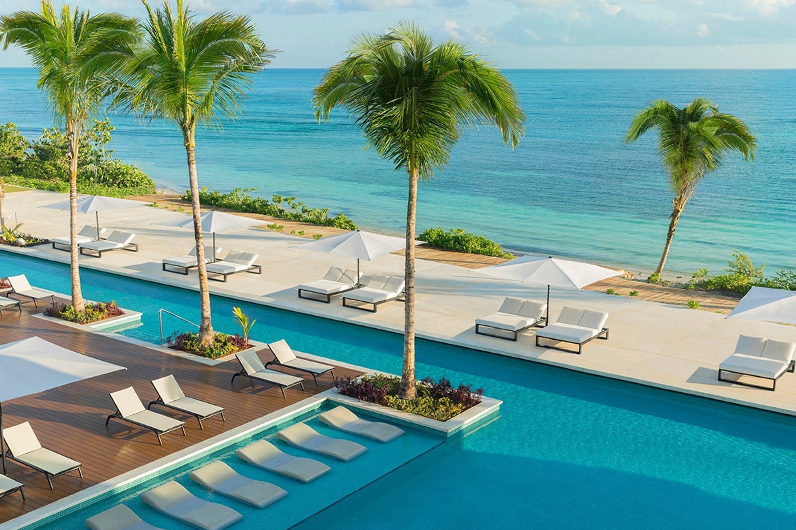 The pool and palm trees at Excellence Oyster Bay