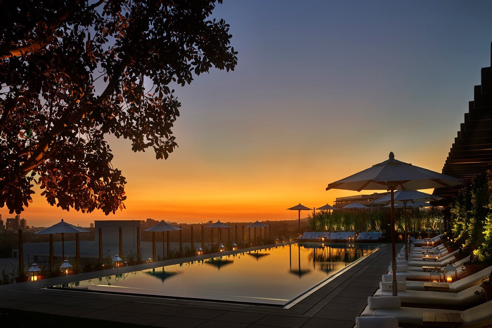 The West Hollywood Edition pool at sunset