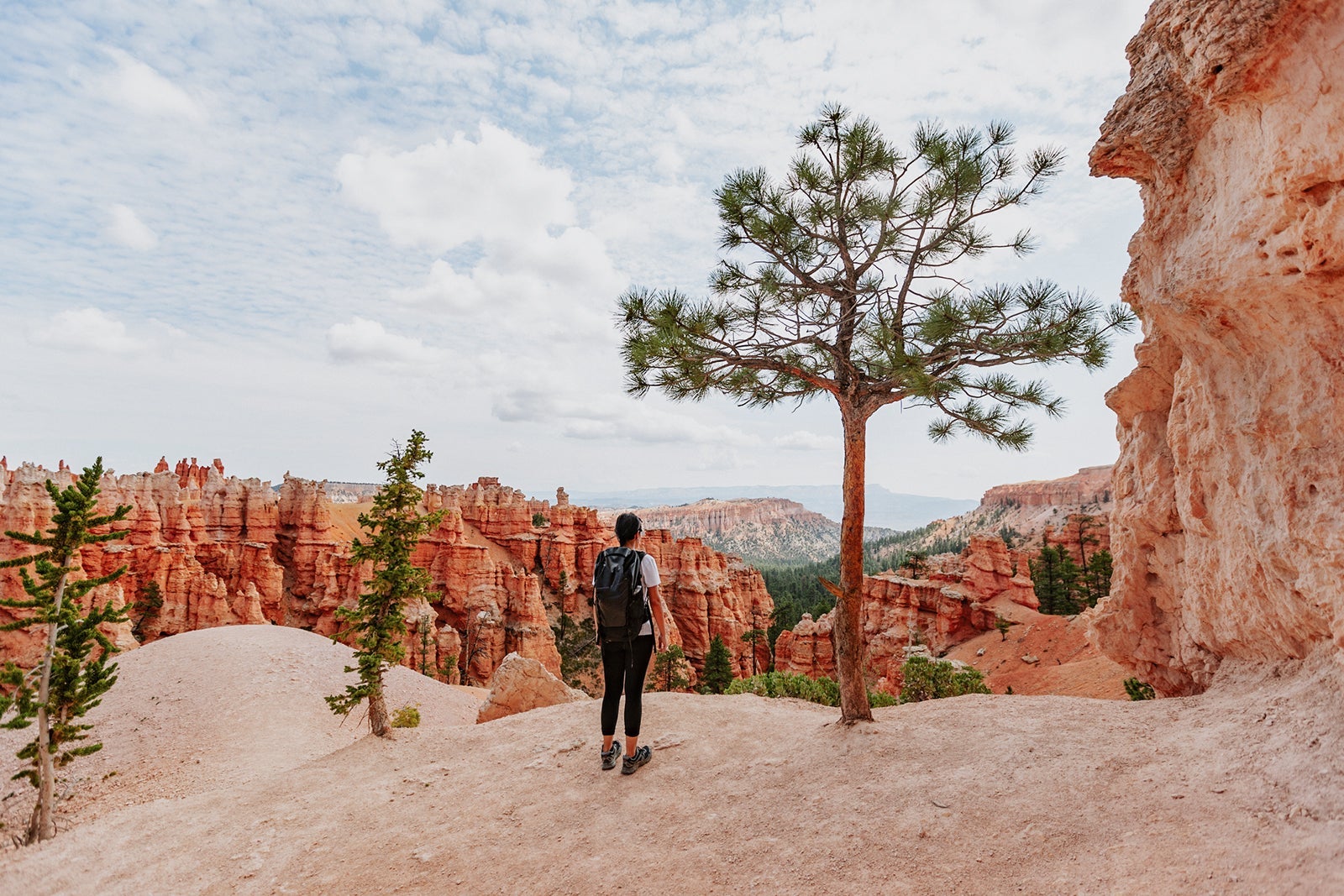 Peek-a-boo trail in Bryce Canyon National Park