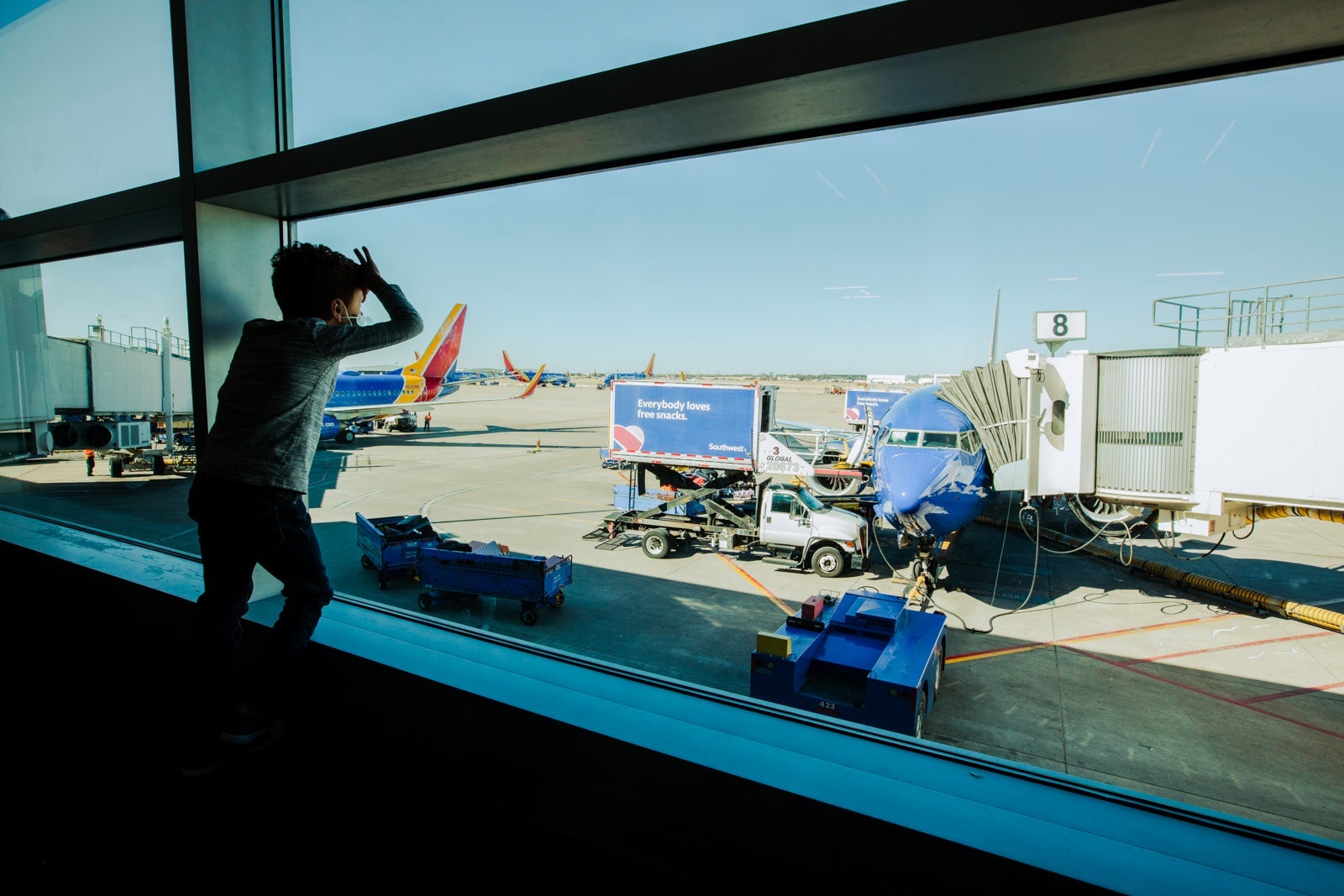 Southwest Rapid Rewards Plus Credit Card review: Full details a child looks out the window of an airport, looking at a Southwest Airlines plane parked at a gate