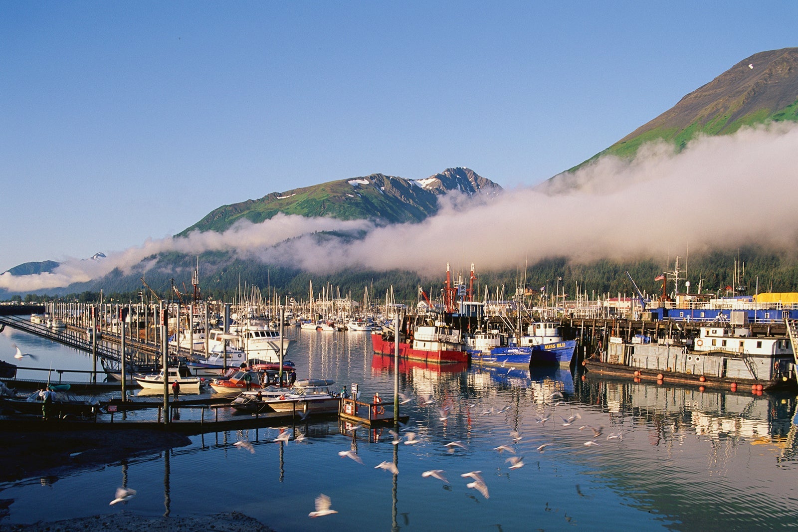 Seward harbor