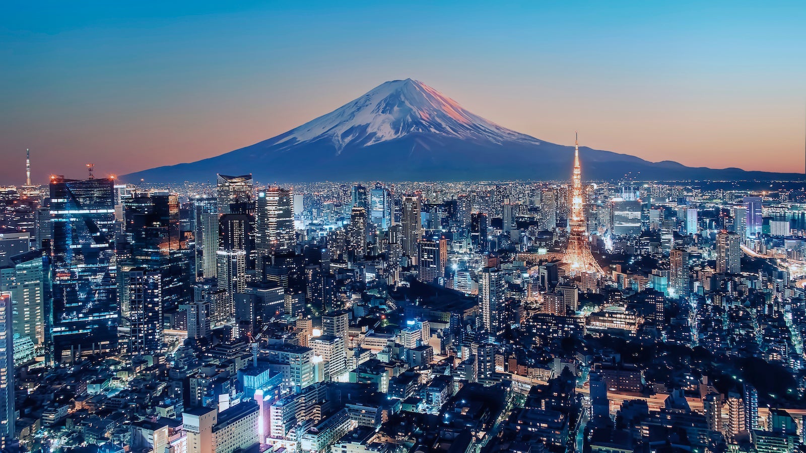 Tokyo, Japan skyline at night