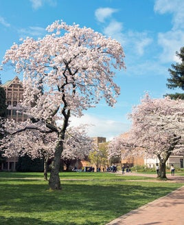 University of Washington in Spring