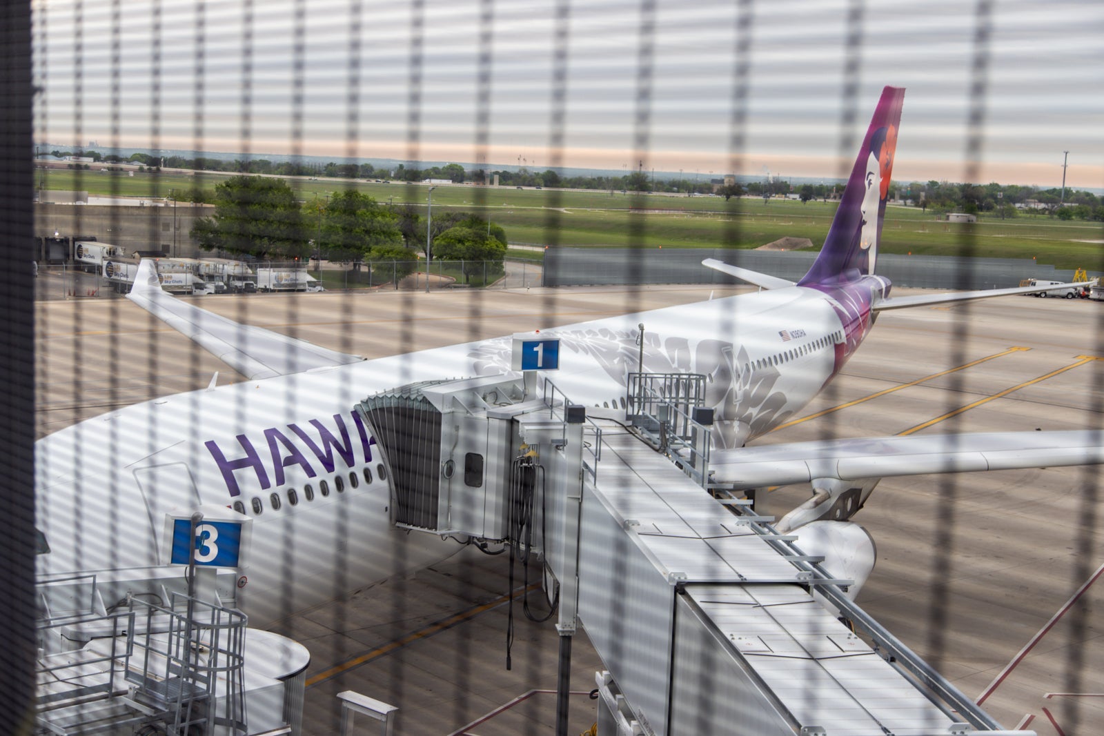 a Hawaiian Airlines plane is visible through a screen