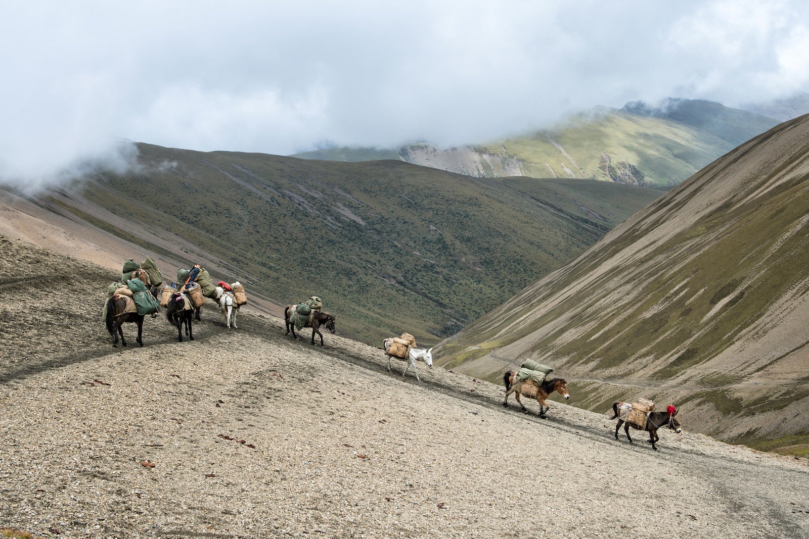 horses and hikers are seen passing through mountains on a trek in Bhutan