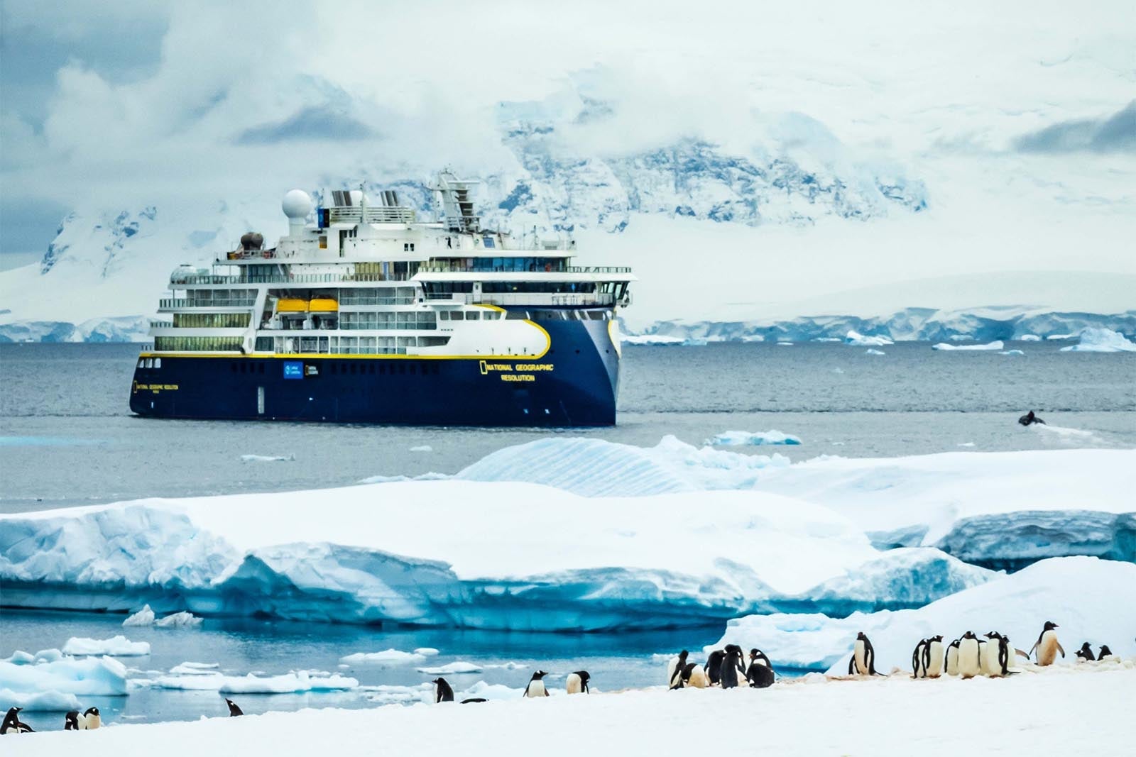 National Geographic Resolution and Gentoo penguin colony on Cuverville Island, Antarctica.