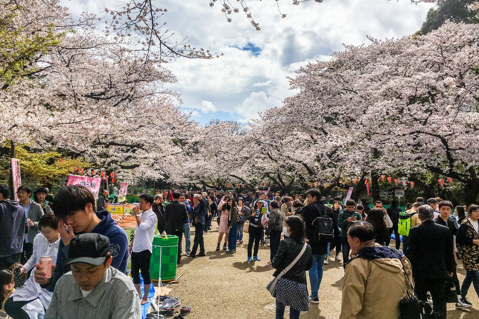 Tokyo, Japan in April 2017.