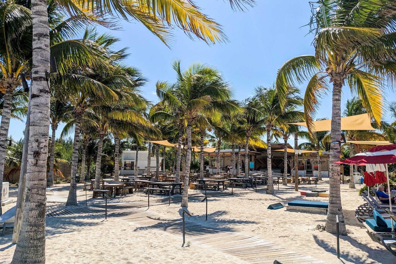 Picnic tables among palm trees on a Bahamian beach