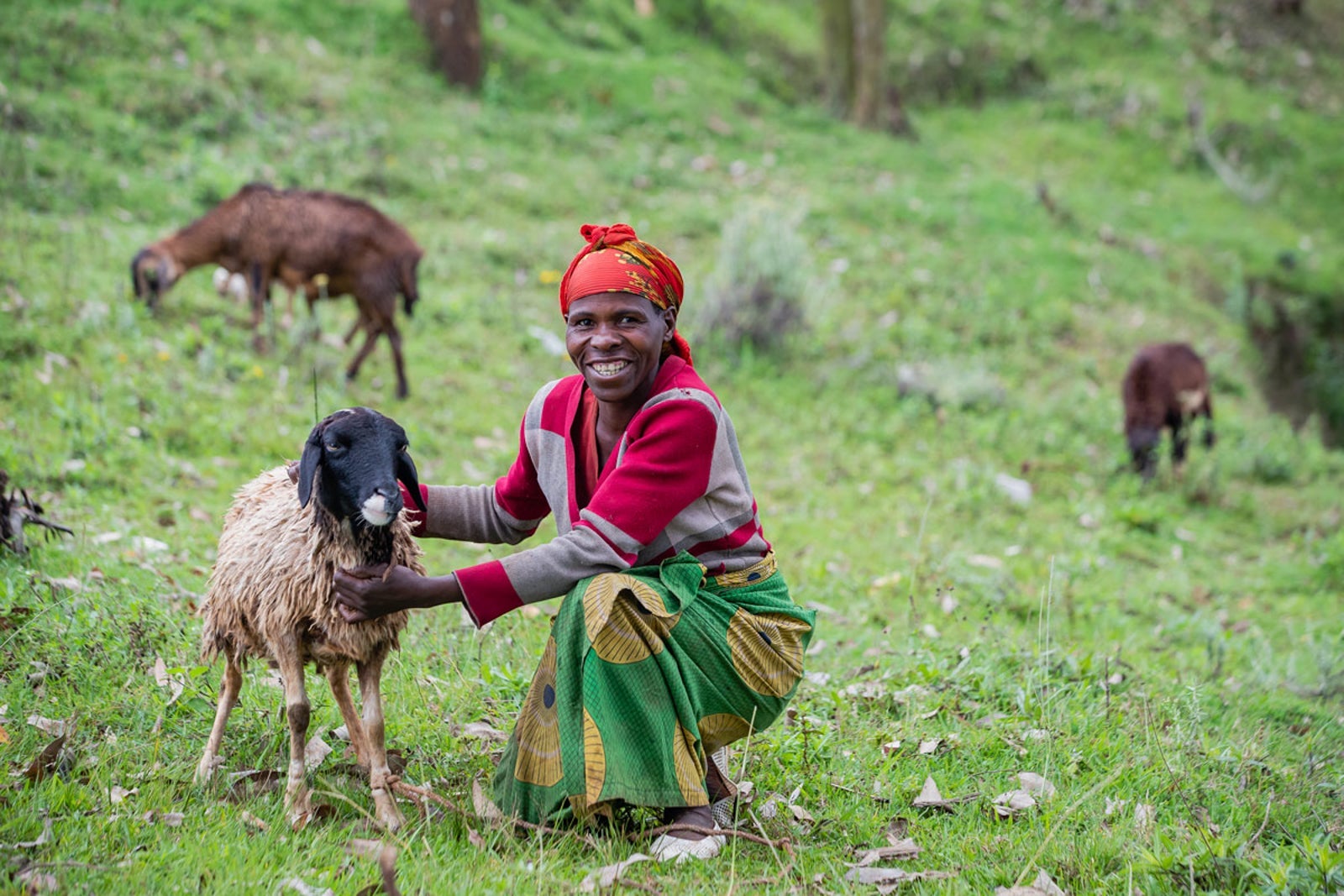 How to choose a sustainable African safari - The Points Guy