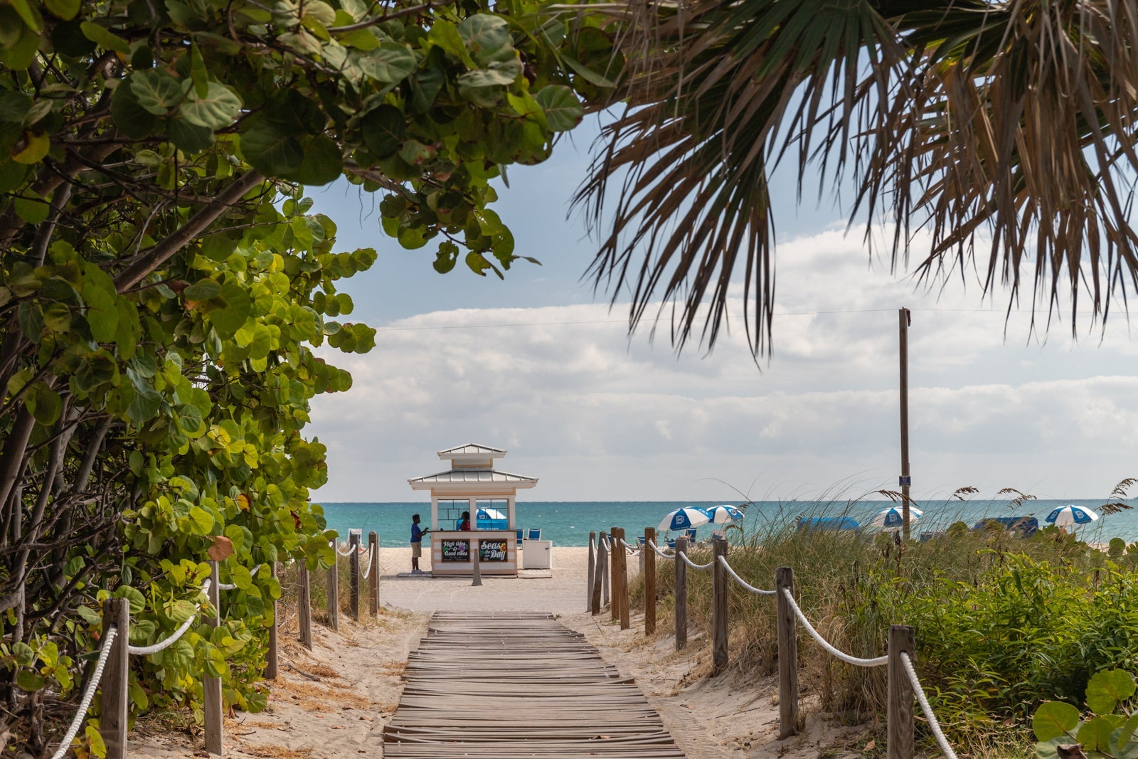 pathway to beach in Miami